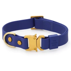 Active Flex Dog Collar, Azure