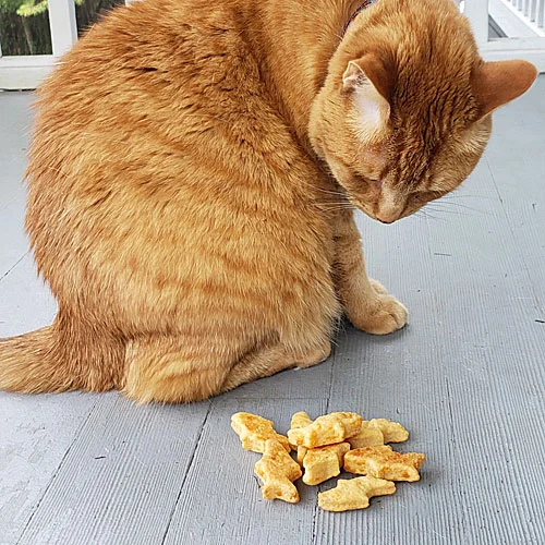 Classic Kitty Cookies - Chicken & Cheese