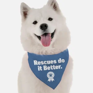 BanDoggie Rescues Do It Better Dog Bandana - Microfiber, Made in USA