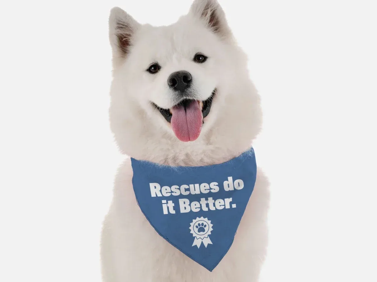 BanDoggie Rescues Do It Better Dog Bandana - Microfiber, Made in USA