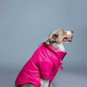 Glossy Puffer Jacket