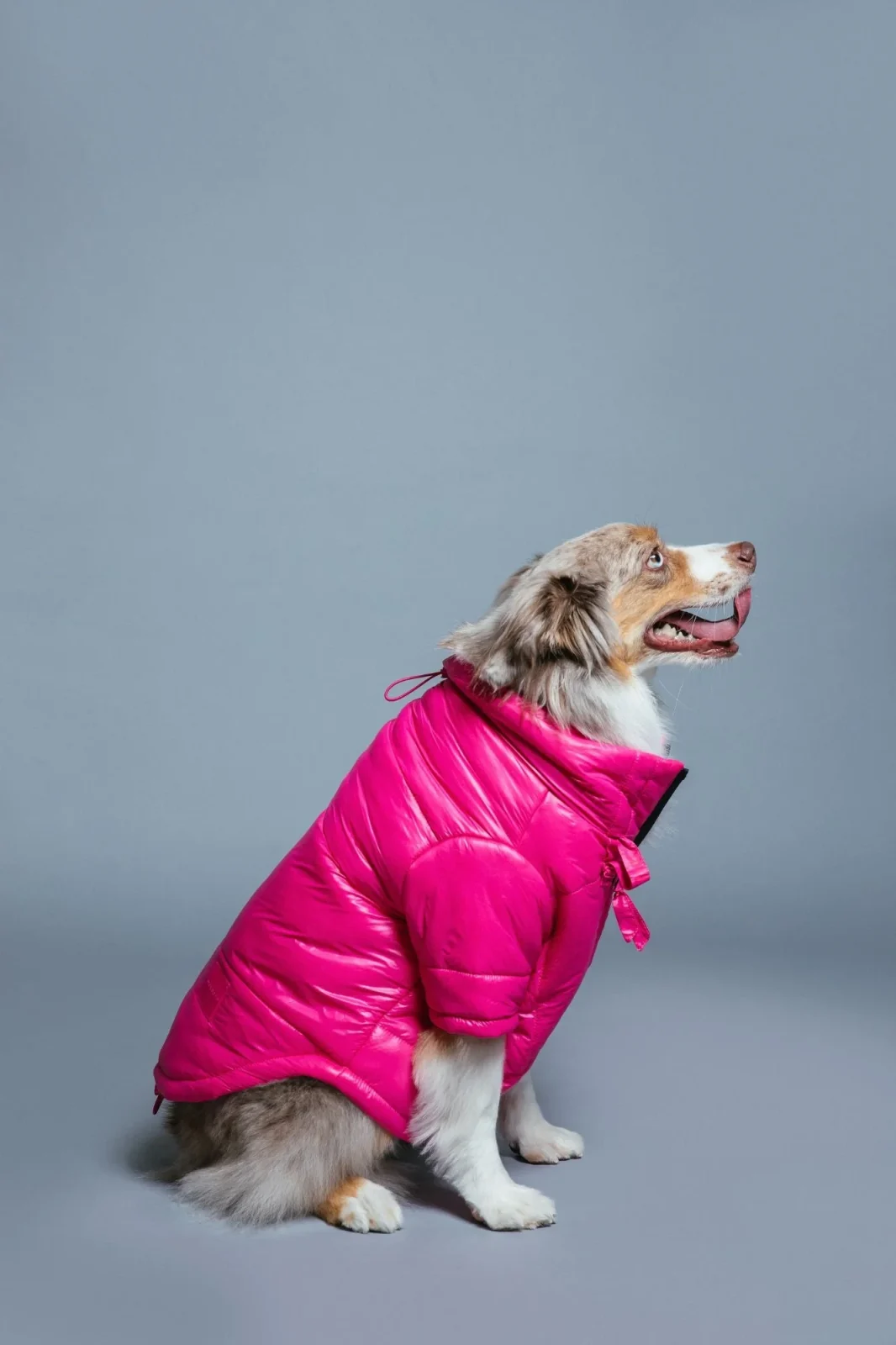 Glossy Puffer Jacket