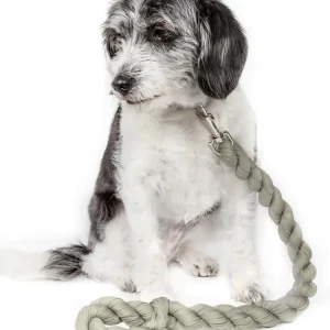 Pet Life ® 'Tough-Tugger' Industrial-Strength Shock Absorption Woven Pet Dog Leash