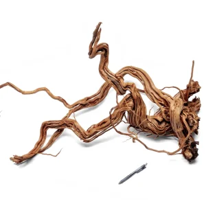 Ancient Wood Showpiece (AW09)