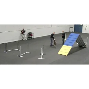 Clean Run Contact Grids for Better Footwork & Safe Approaches
