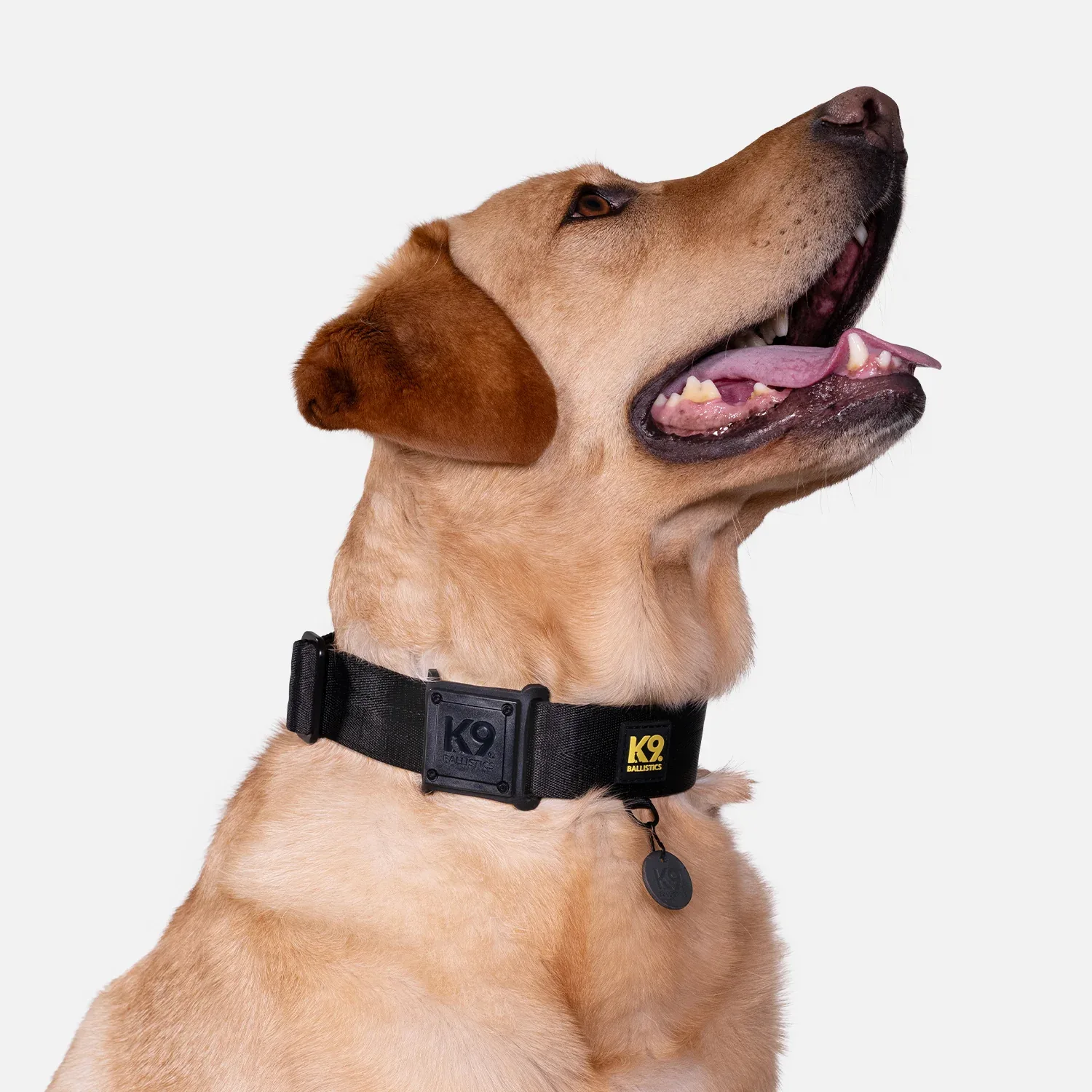 K9 Pro™ AirTag Holder - Image 2