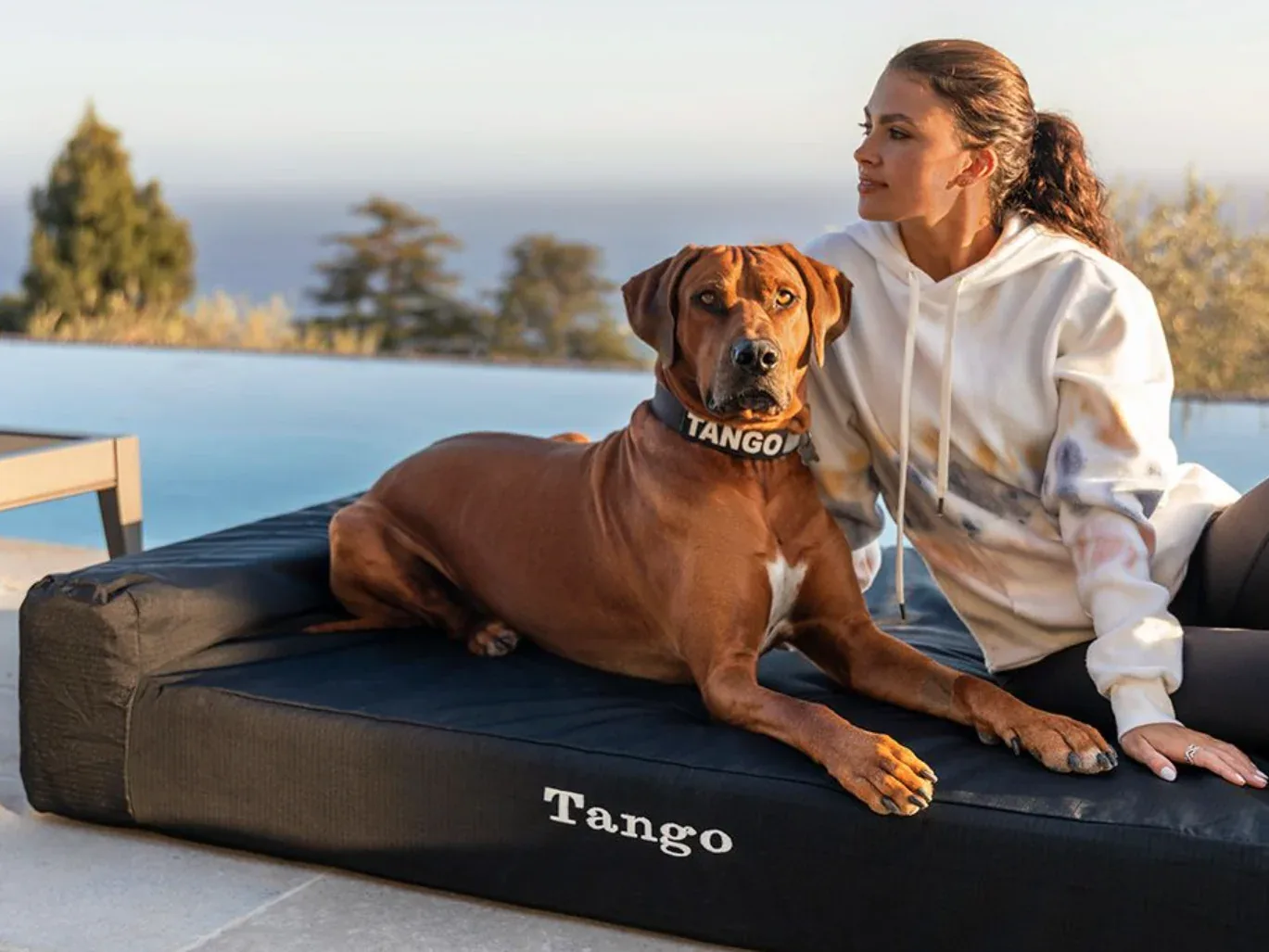 Tough Ripstop™ Giant 7" Orthopedic Dog Bed Cover (Updated Design) - Image 2
