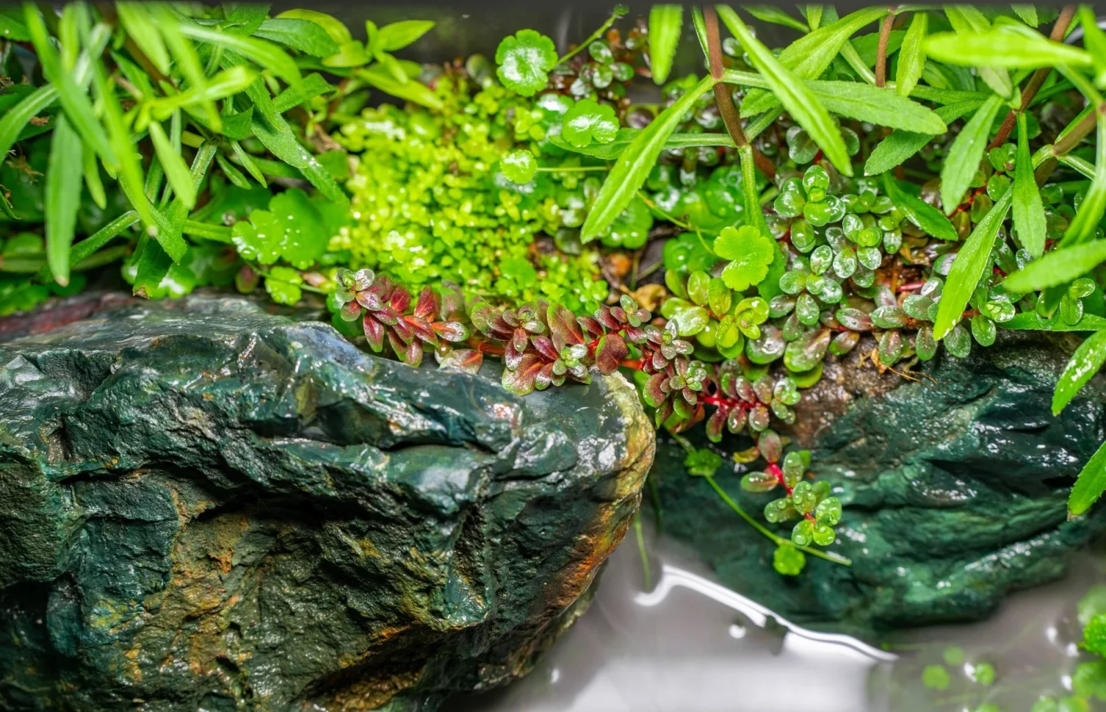 Jade Stone - Image 2