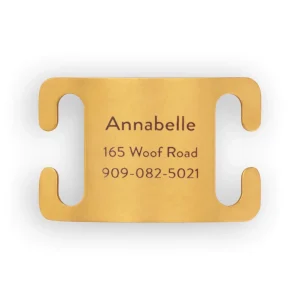 Active Slide-On Pet ID Tag