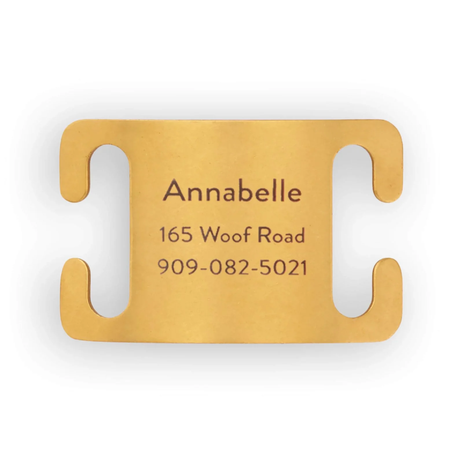 Active Slide-On Pet ID Tag