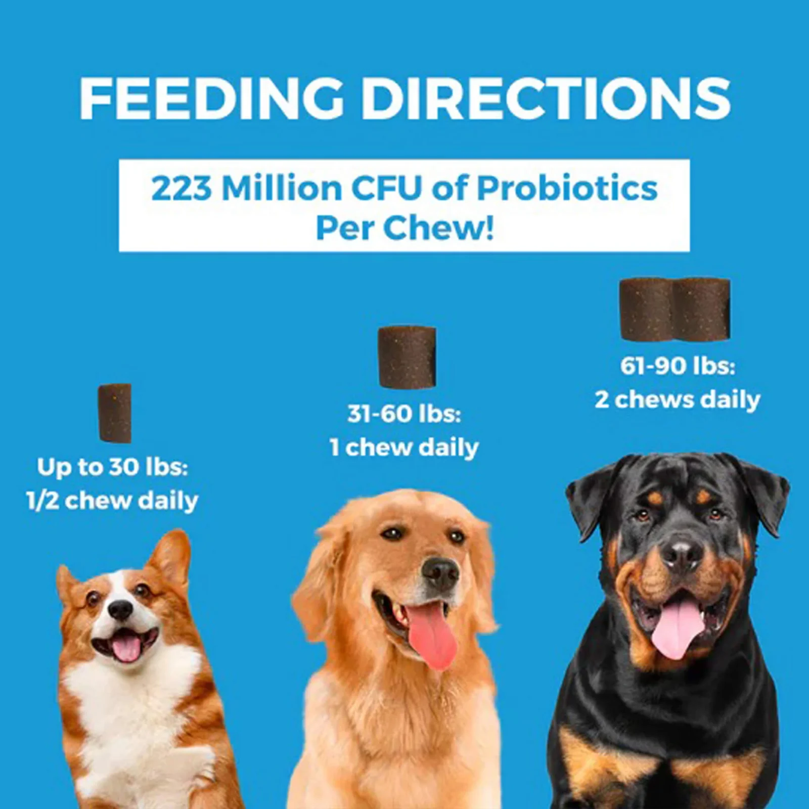 Nootie Progility Skin & Coat Supplement for Dogs - Image 2