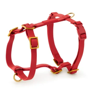 Active Flex Dog Harness (XS/S), Ember