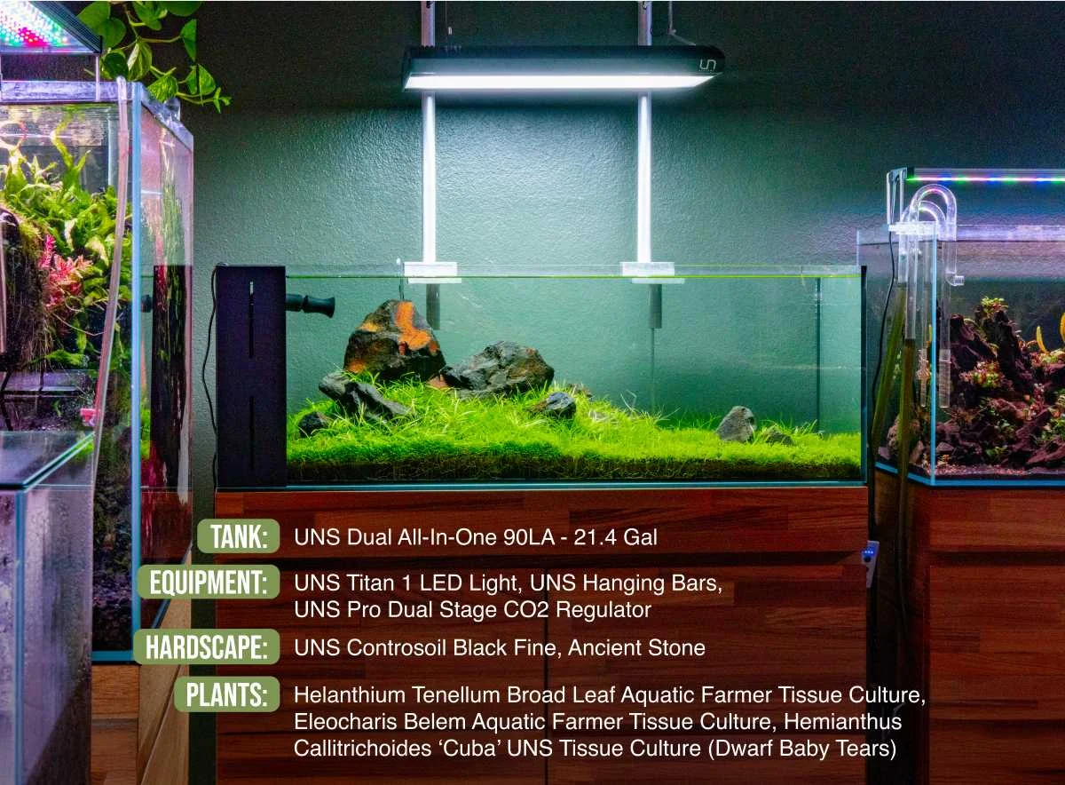 UNS 90LA - 21 Gallon Dual AIO Rimless Aquarium - Image 2