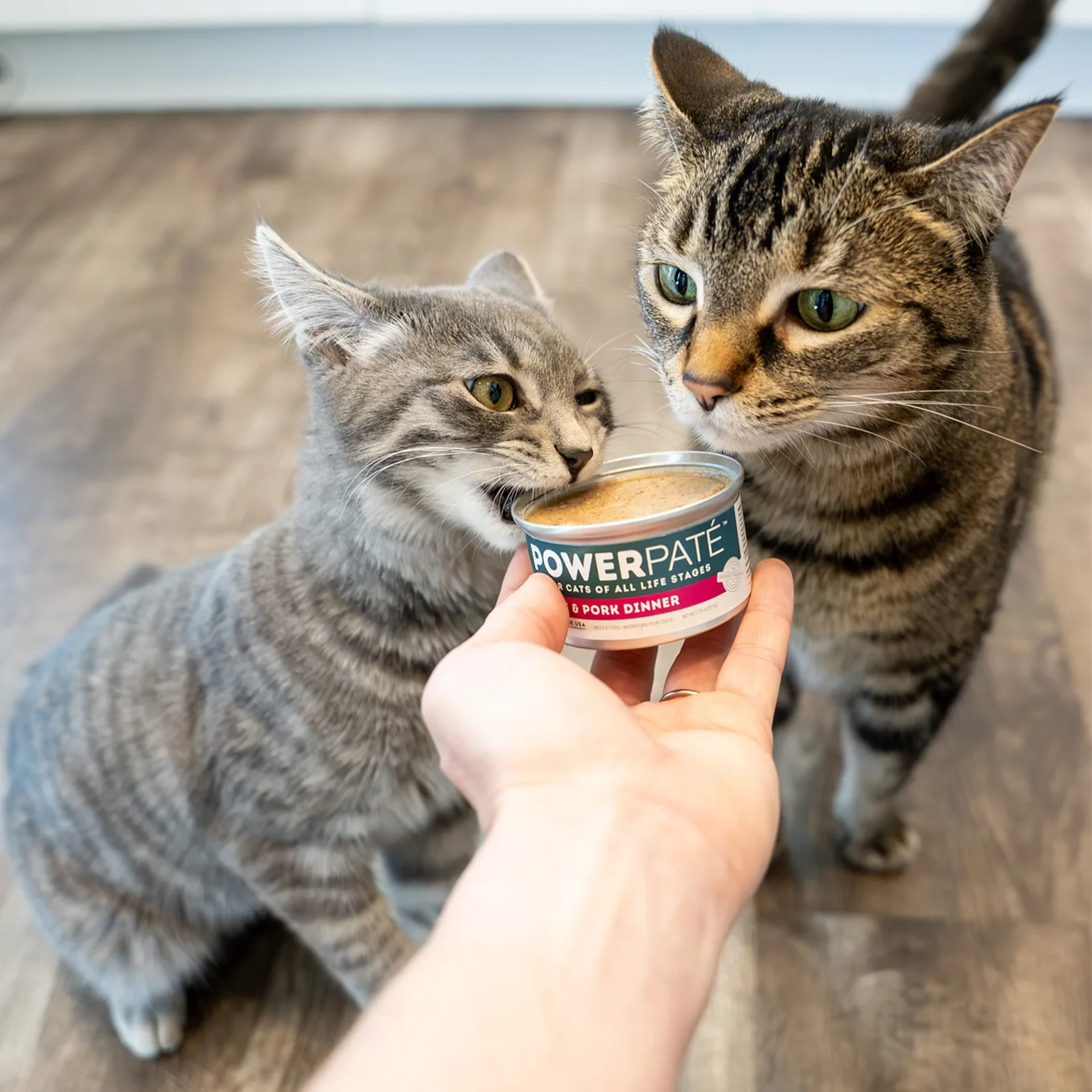 Only Natural Pet PowerPate Grain Free Wet Cat Food - Image 2