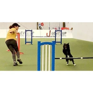 Clean Run Countermotion Commitment: Small Space Games for Big Commitment Skills
