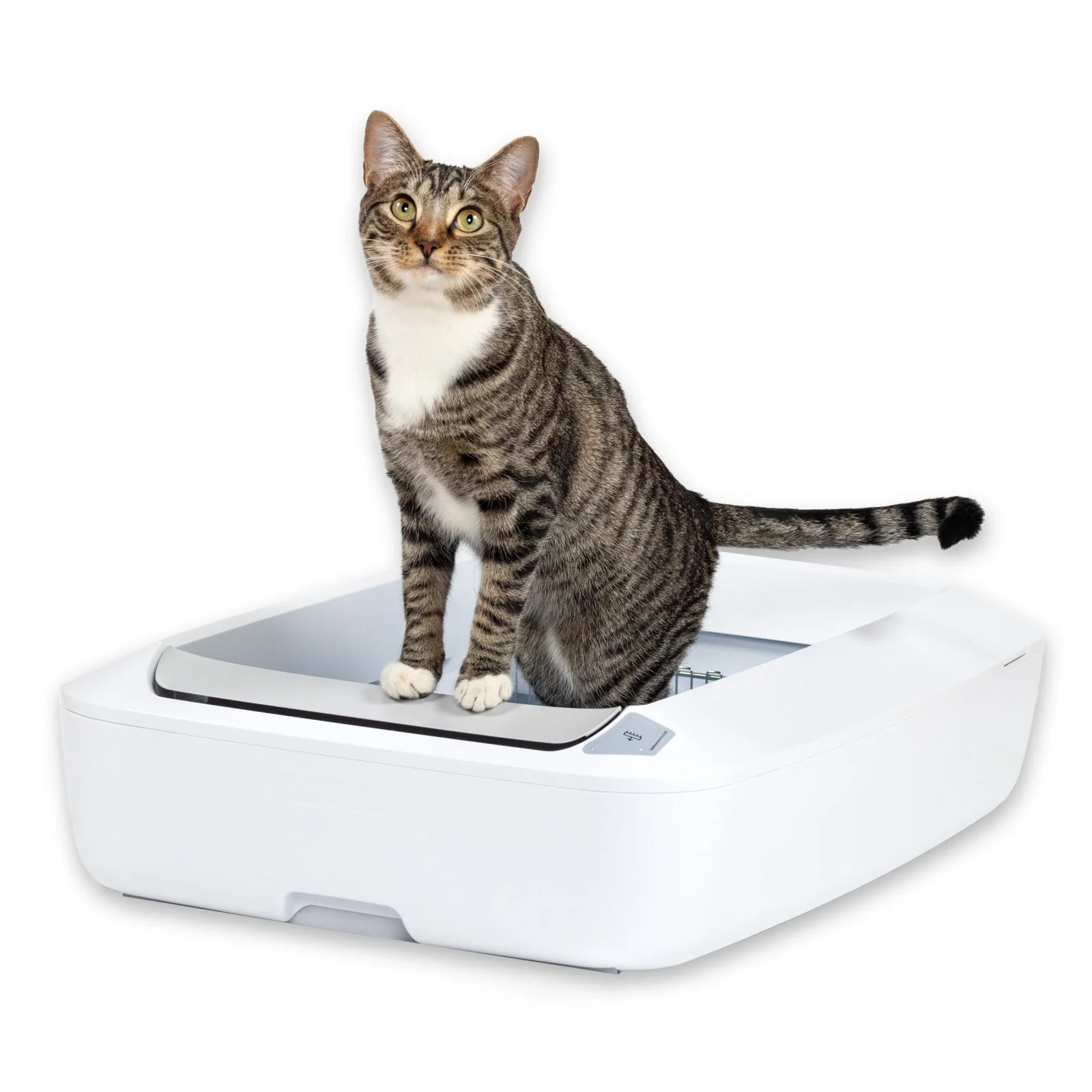 Self-Cleaning Litter Box - ScoopFree® Crystal Plus