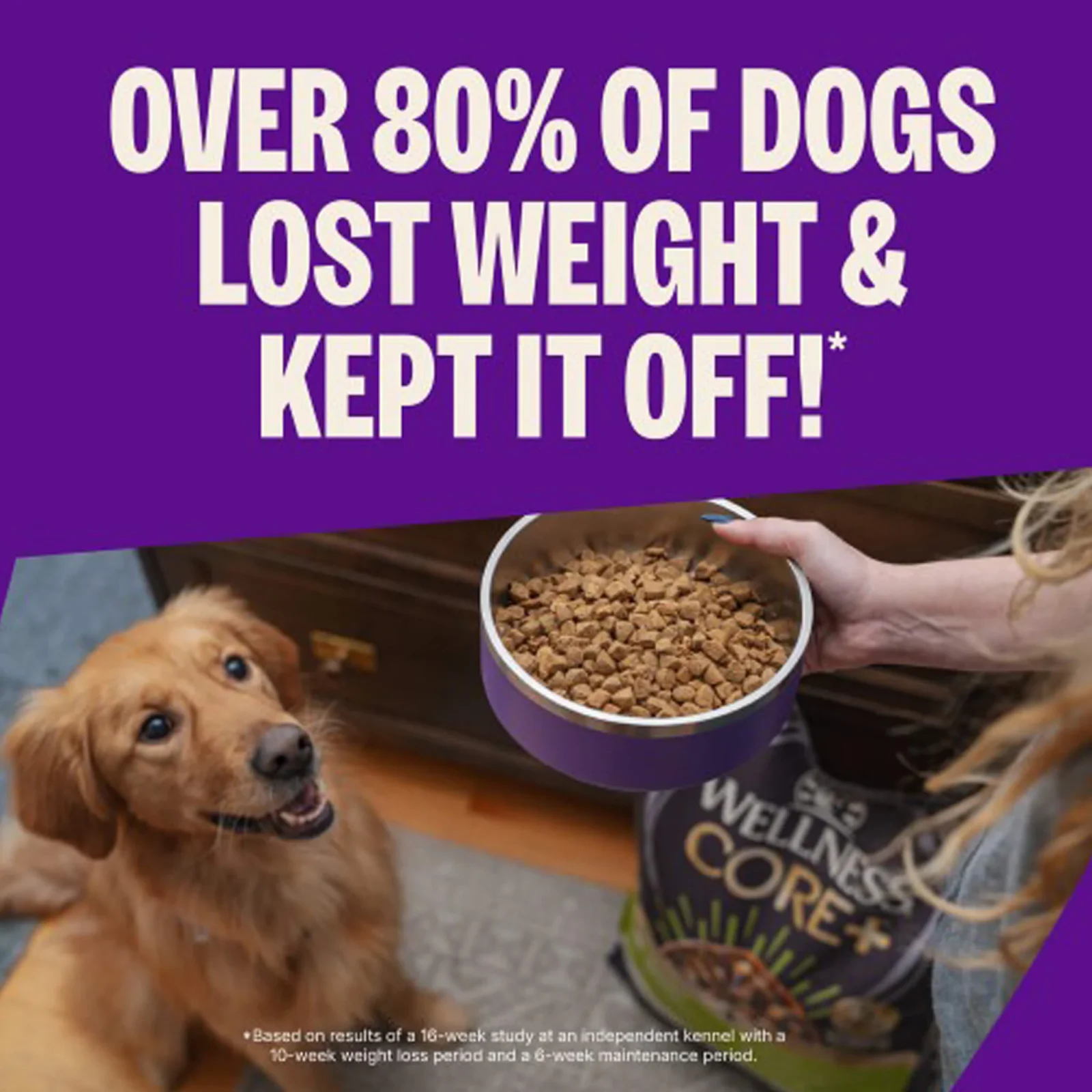 Wellness CORE Healthy Weight Grain Free Dry Dog Food - Image 2