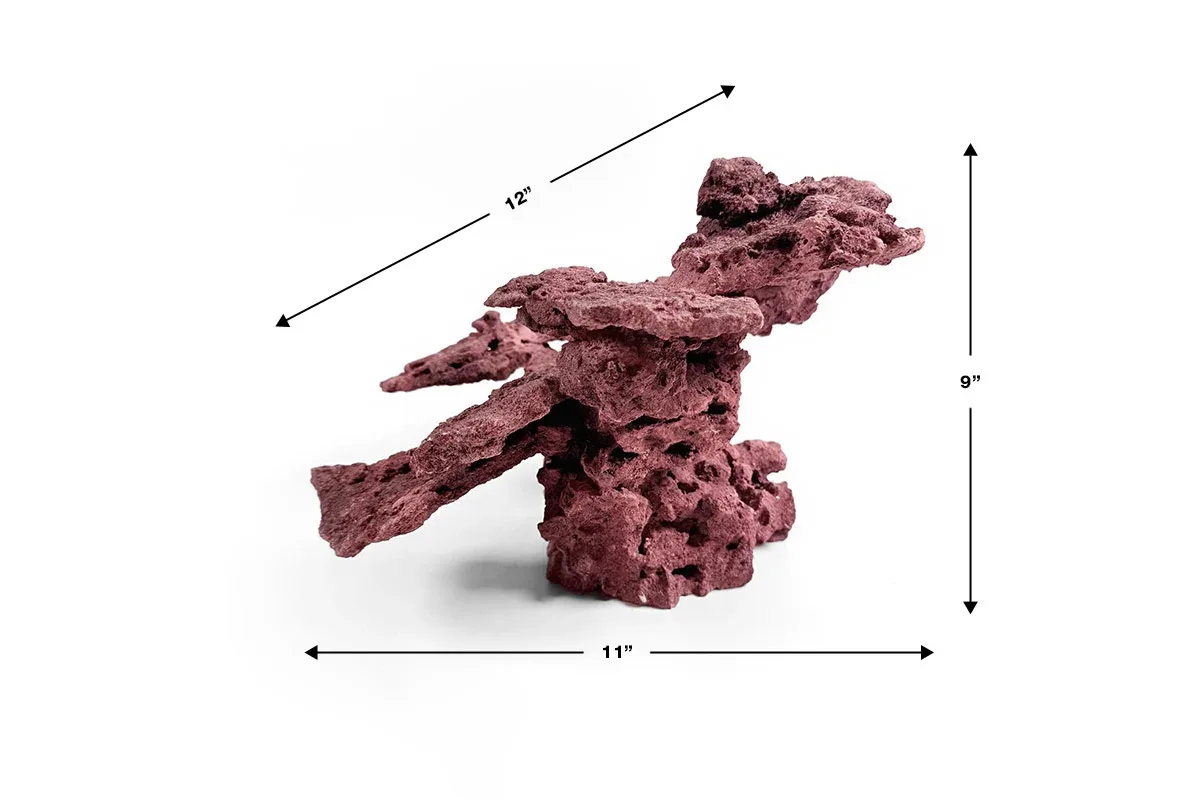 Reef Rock Showpiece (RRS001) - Image 2