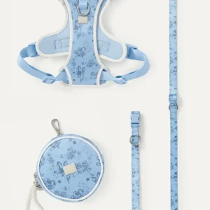Bridgerton x maxbone Walk Set