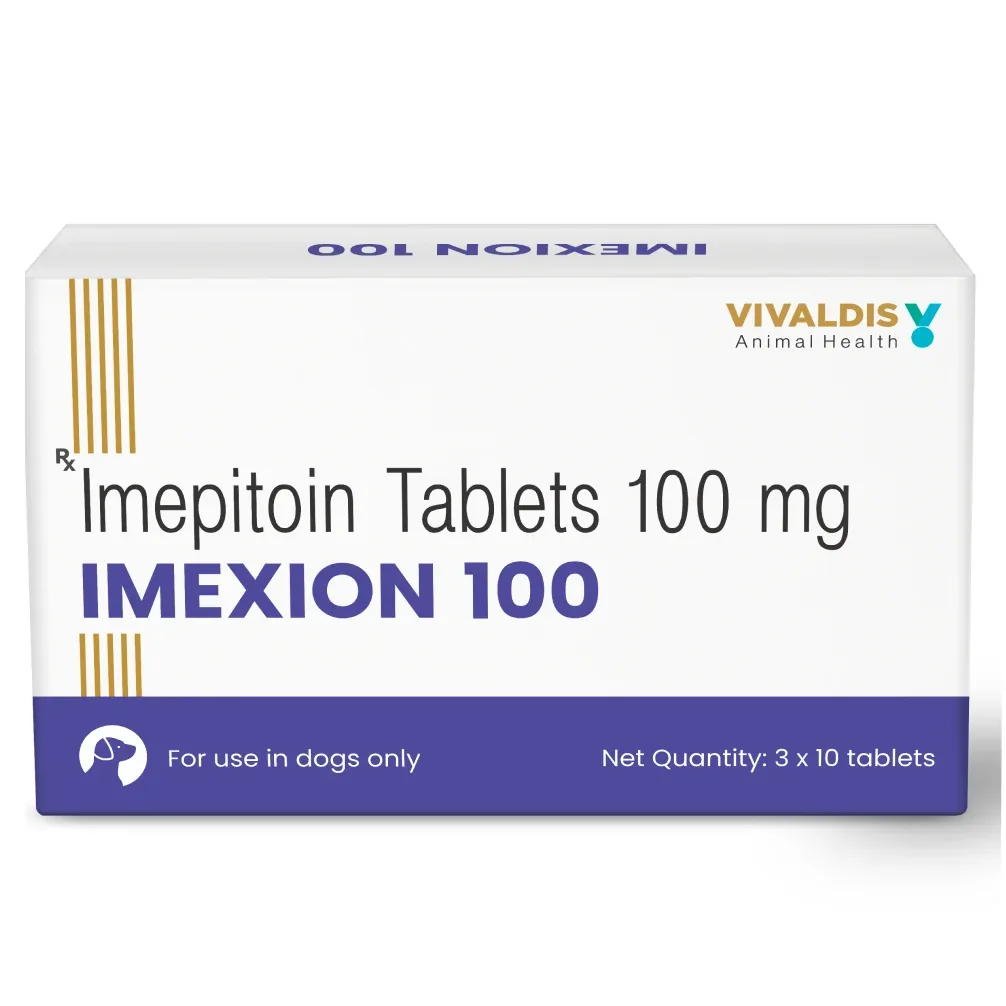 Vivaldis Imexion 100mg Imepitoin Tablets for Dogs