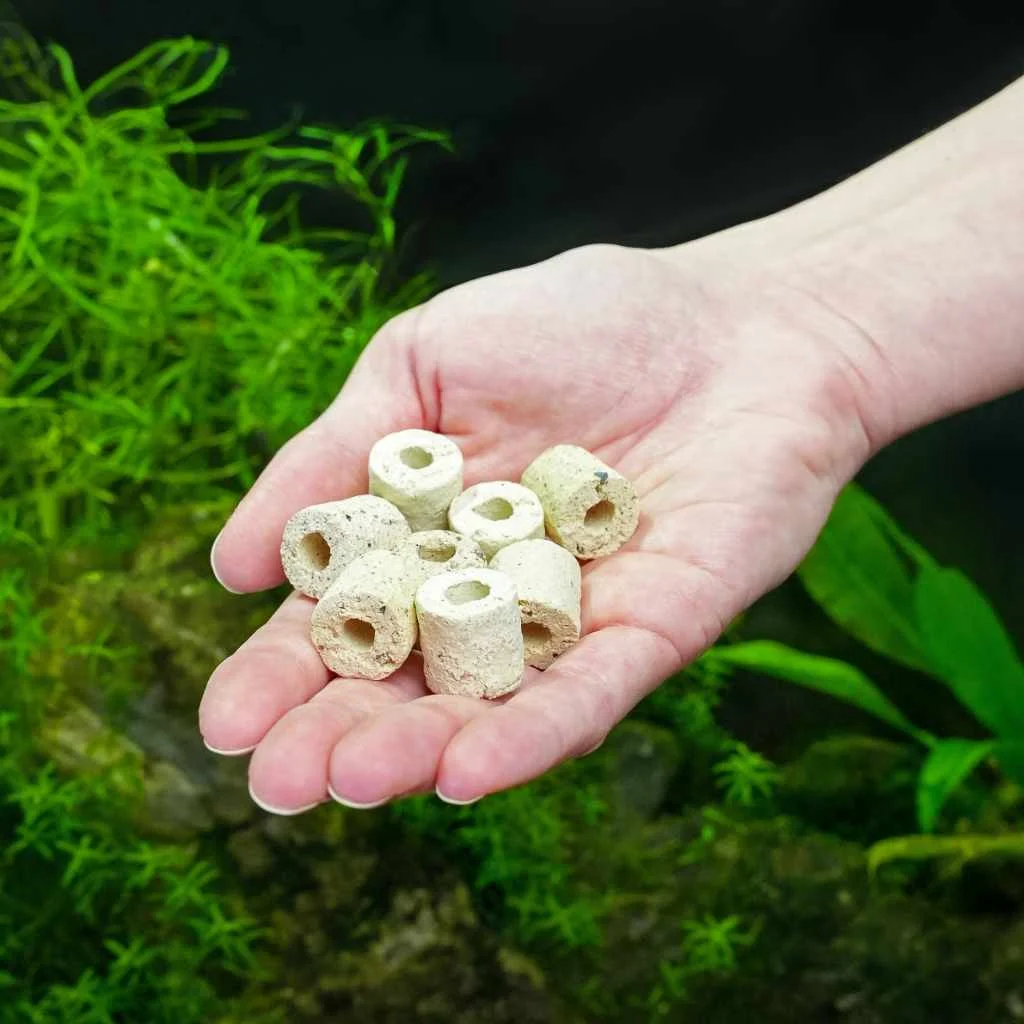 Bio Rings - Image 2