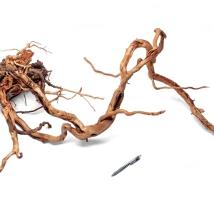 Ancient Wood Showpiece (AW015)