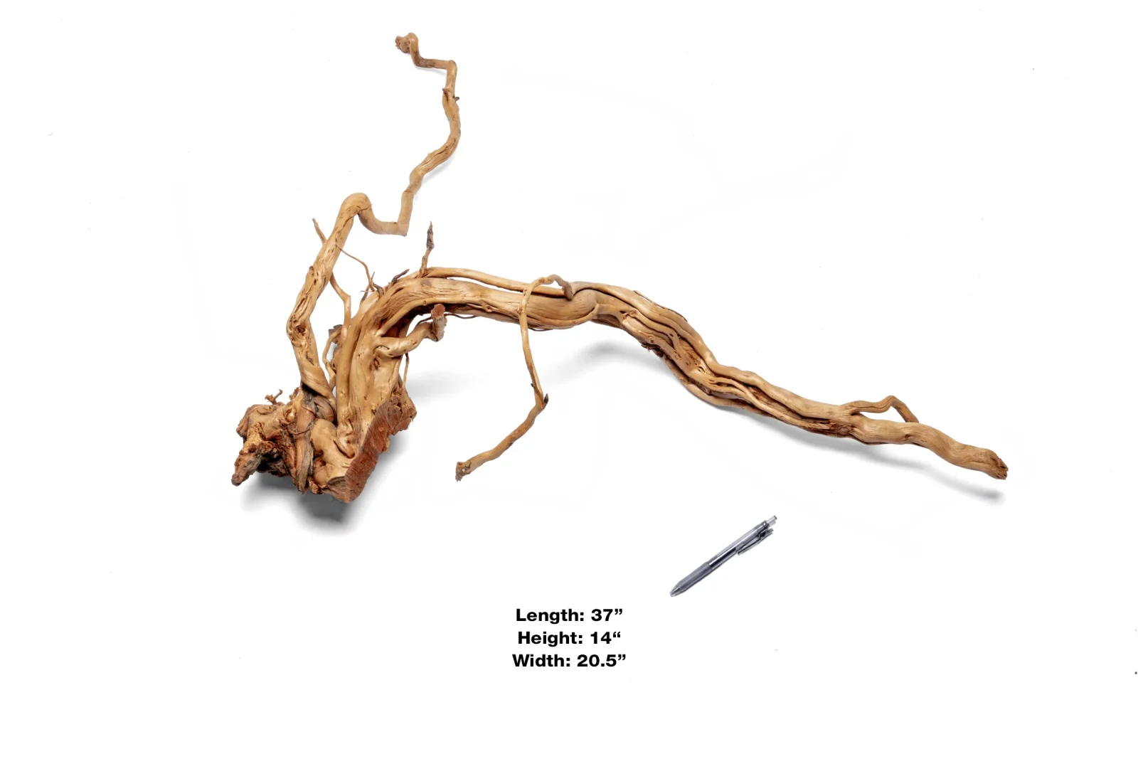 Ancient Wood Showpiece (AW013) - Image 2