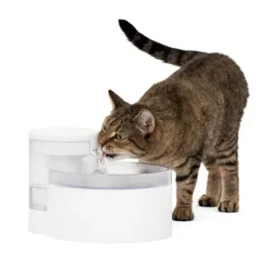 Outlast™ Pet Fountain