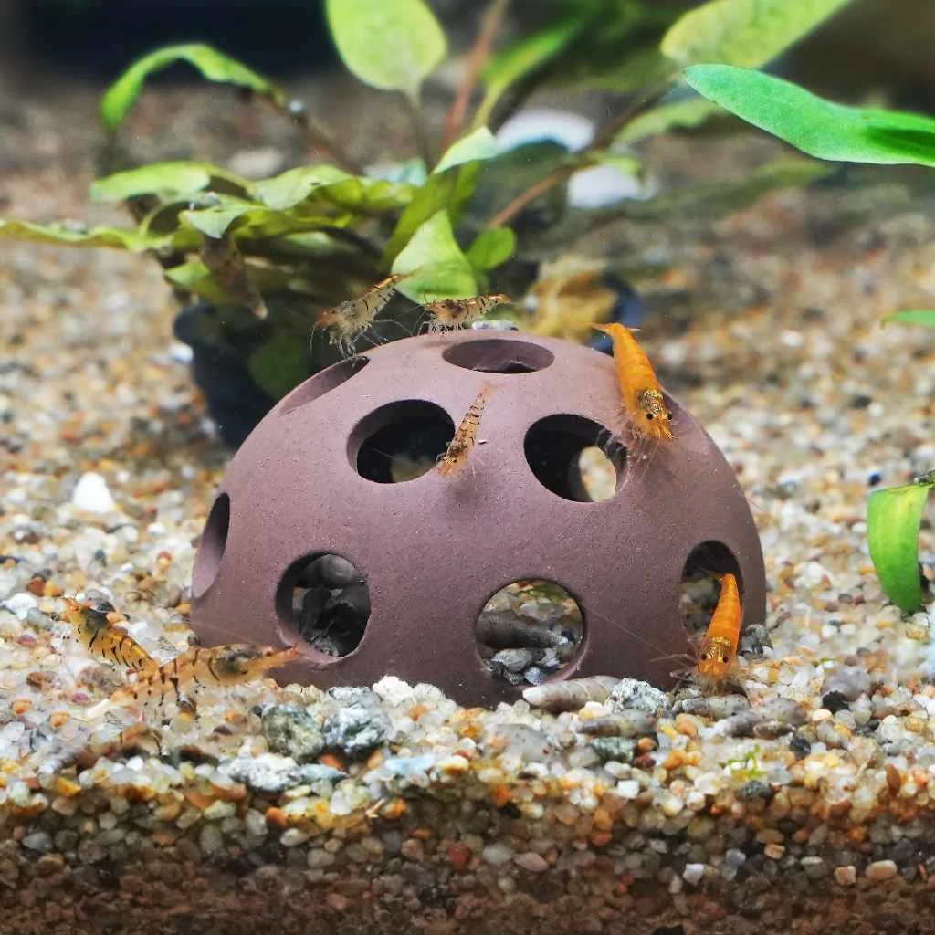 Aquarium Co-Op Shrimp Cave - Image 2