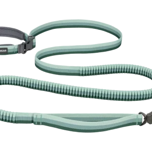 Roamer Lock™ Bungee Dog Leash