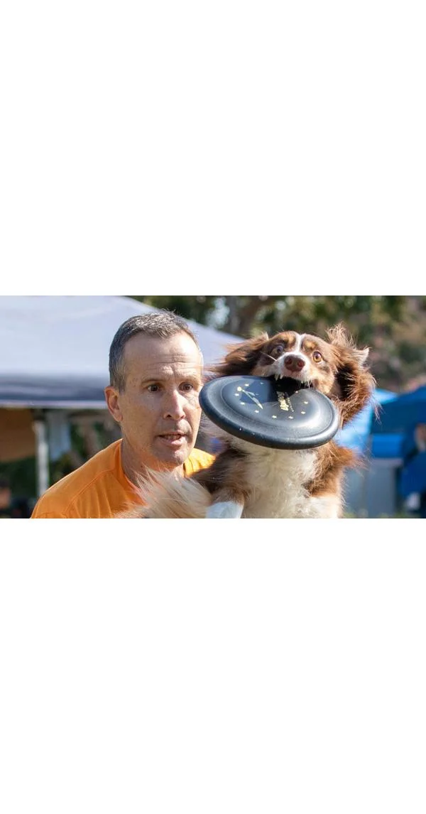 Clean Run Disc Dog Foundations
