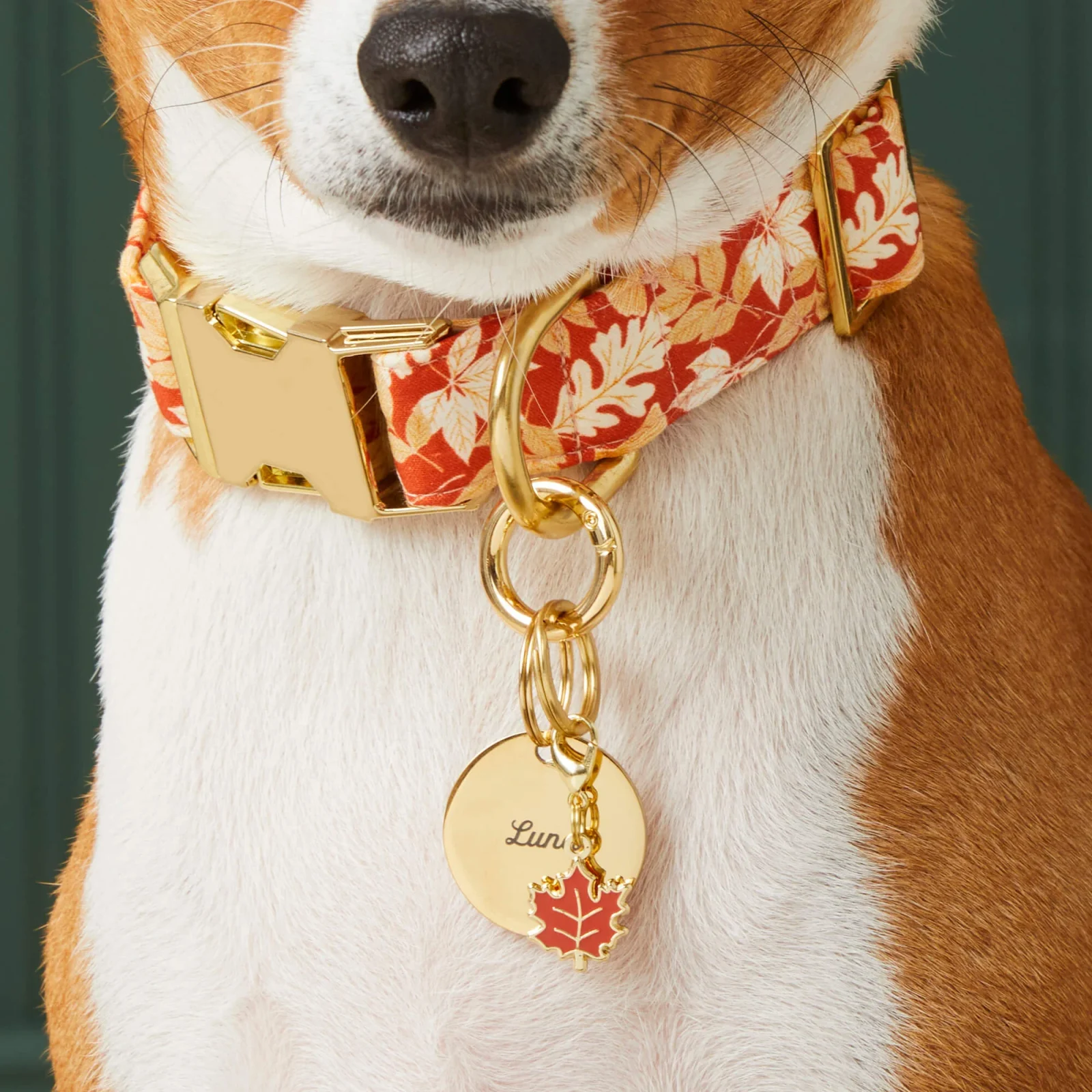 Maple Leaf Collar Charm - Image 2