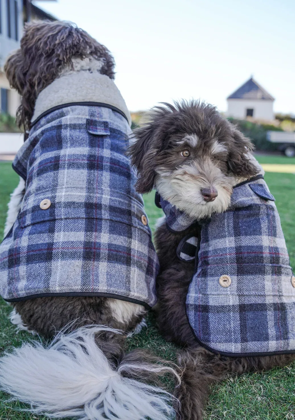 Tweed SHERPA Grey Check Coat - Image 2
