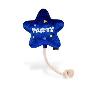 Party Time Best Day Ever Balloon