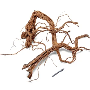Ancient Wood Showpiece (AW03)