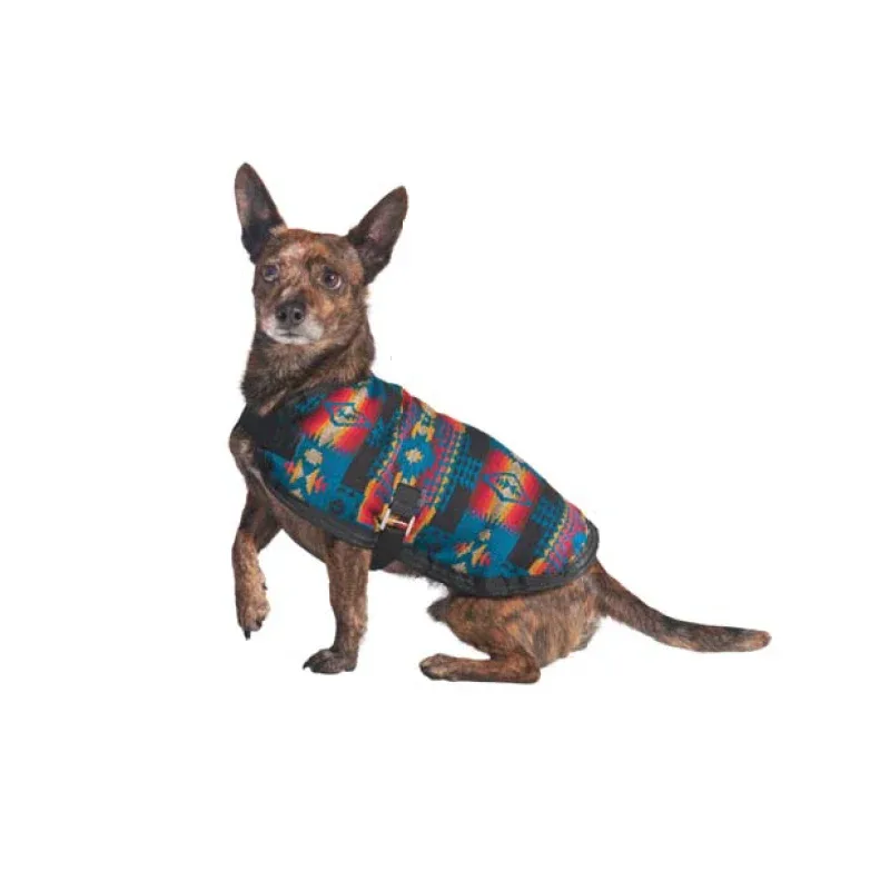 Turquoise Southwest Blanket Dog Coat - Image 2