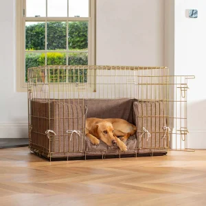 Bumper Cover in Inchmurrin by Lords & Labradors