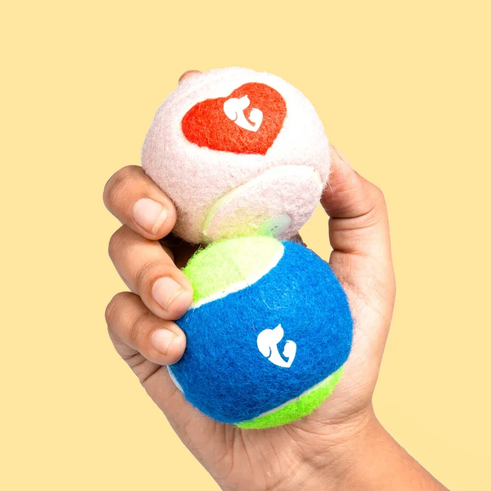 Pet Set Go Squeak Ball Toy for Dogs (Orange) - Image 2