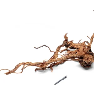 Ancient Wood Showpiece (AW06)
