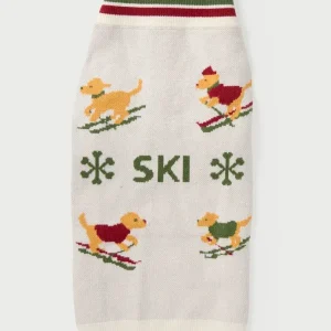Ski Jumper