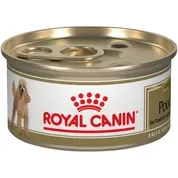 Royal Canin Breed Health Nutrition Poodle Adult Loaf in Sauce Wet Dog Food