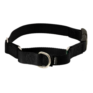 Martingale Collar with Quick Snap Buckle