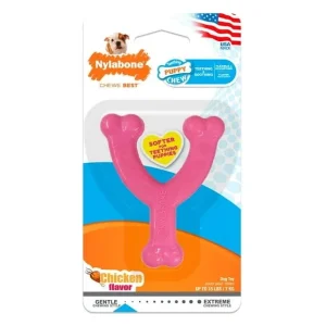 Nylabone Wishbone Puppy Teething Chicken Flavored Nylon Chew Dog Toy - Extra Small/Petite