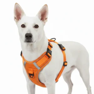 Skatrs Fully Padded Comfort Fiery Reflective Harness for Dogs & Cats (Orange)
