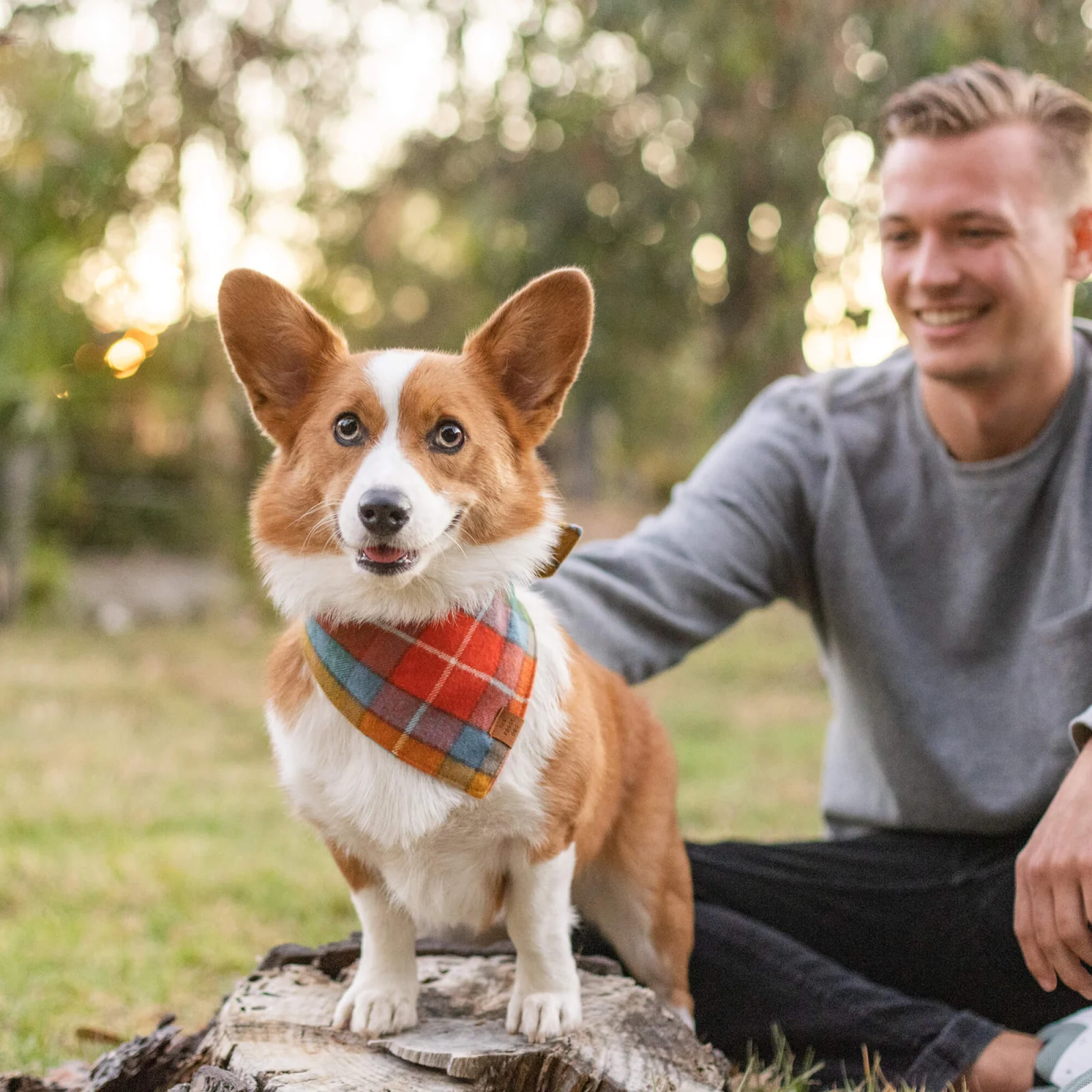 Buchanan Plaid Flannel Dog Bandana - Image 2