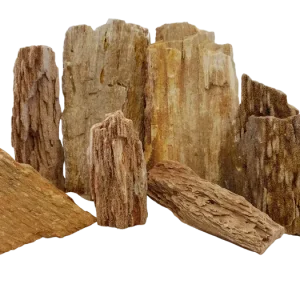 Burma Petrified Stone Kit