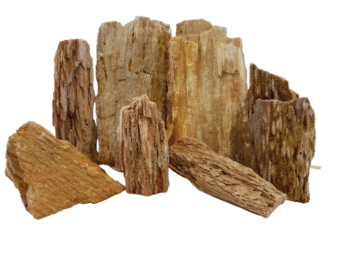Burma Petrified Stone Kit
