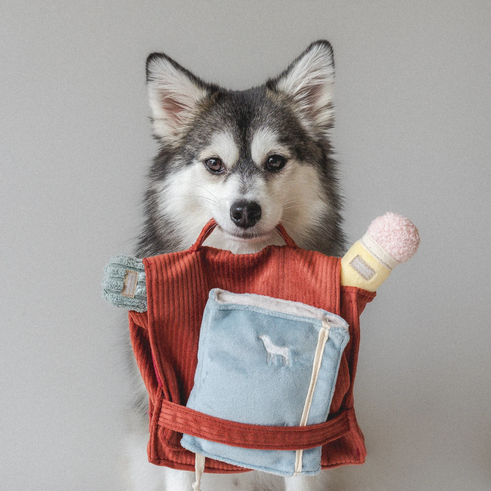 MY BACK TO SCHOOL - Image 2