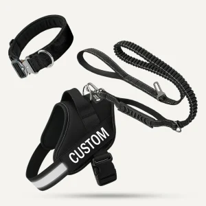 Complete Walk Set