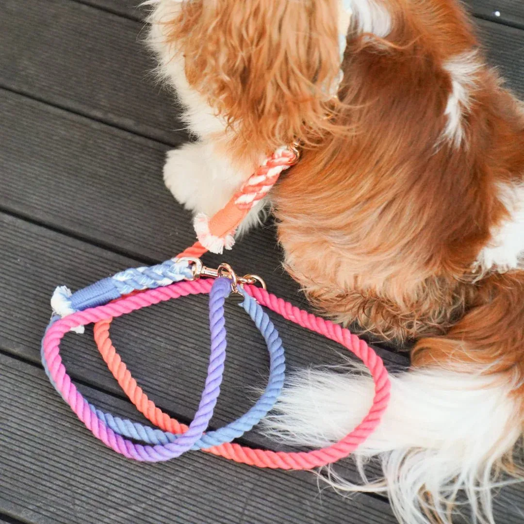 Hands-Free Dog Rope Dog Leash - Palette - Image 2